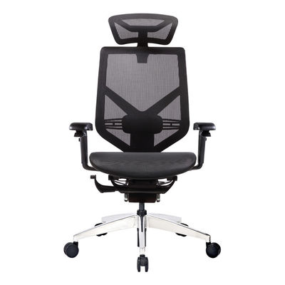 Aluminum Backrest Height Adjustable 3D Headrest 5D Armrest Mesh Back Office Chairs